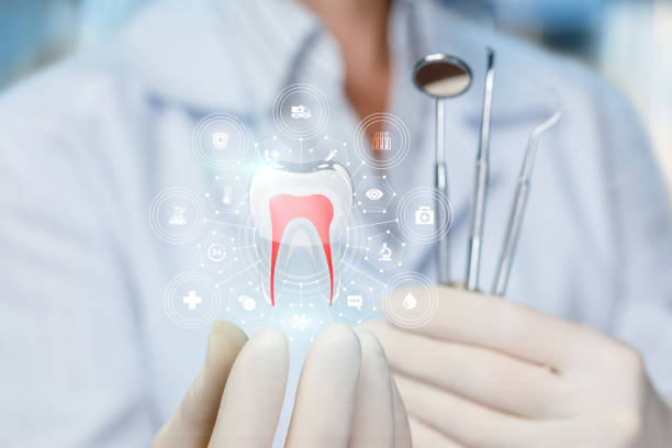 Best Preventive Dentistry  in Fairforest, SC